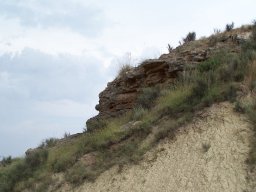 Cerro de la Almagra 2004